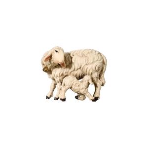 Schaf mit Lamm saugend