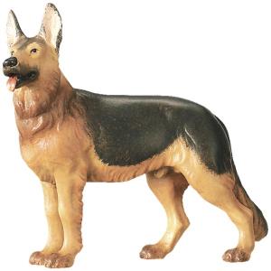 Schaeferhund
