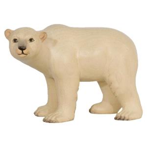 Polarbär Weibchen linksschauend