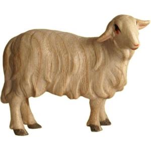 Schaf stehend links