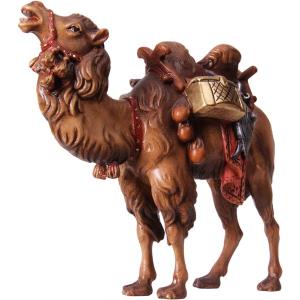 Kamel stehend mit Gepäck