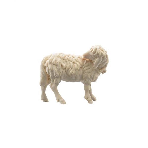 Schaf mit Glocke - natur