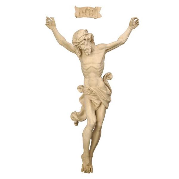 Christus Leonardo - natur