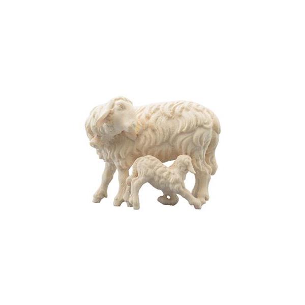 SI Schaf mit Lamm saugend - natur