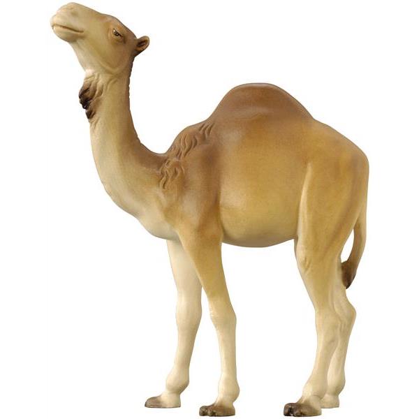 Kamel für Krippe mod. - color