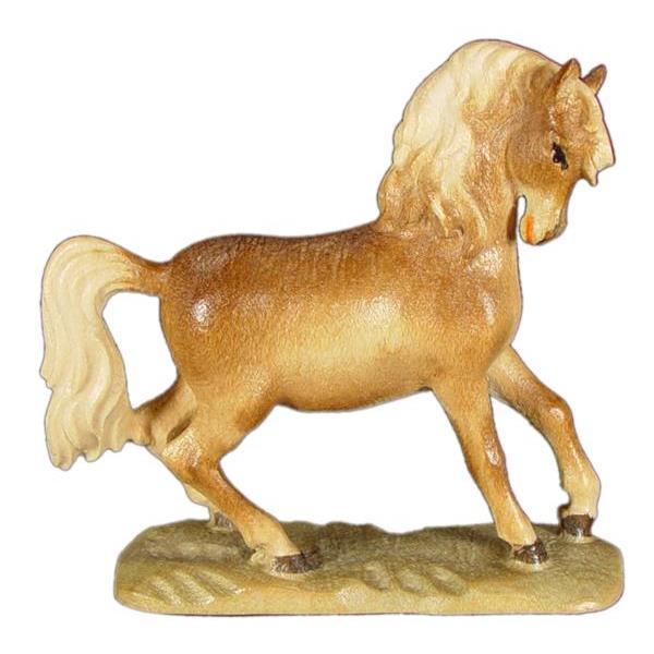 Pferd in trab in Zirbel - color