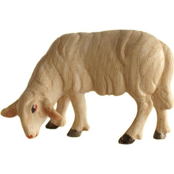 Schaf grasend - Lasiert Wasserfarben