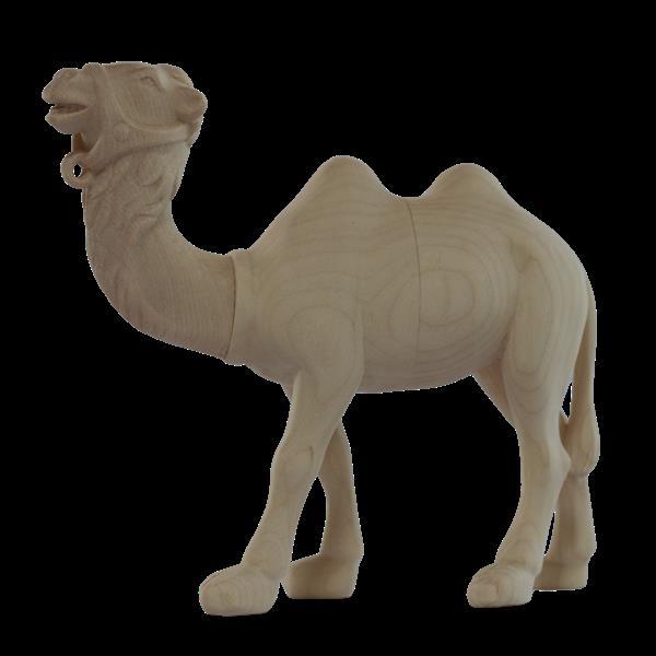 Kamel stehend modern - natur