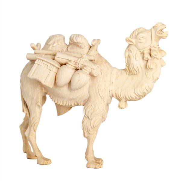 Kamel stehend mit Gepäck - natur