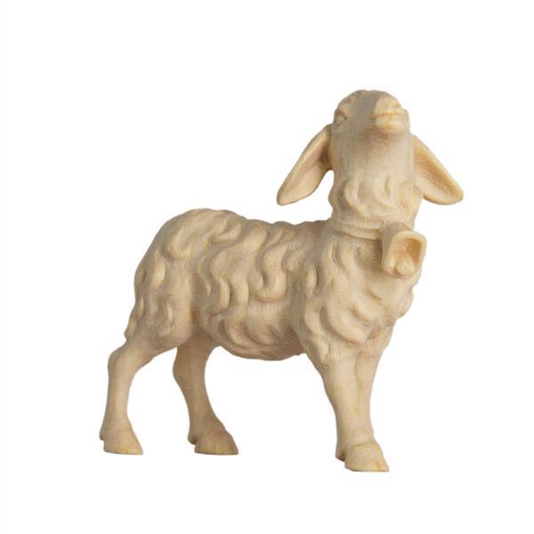 Schaf mit Glocke - natur