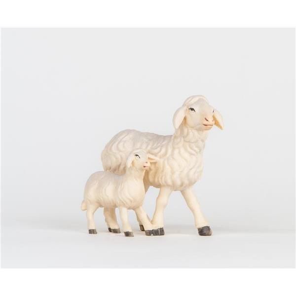 Schaf mit Lamm - color