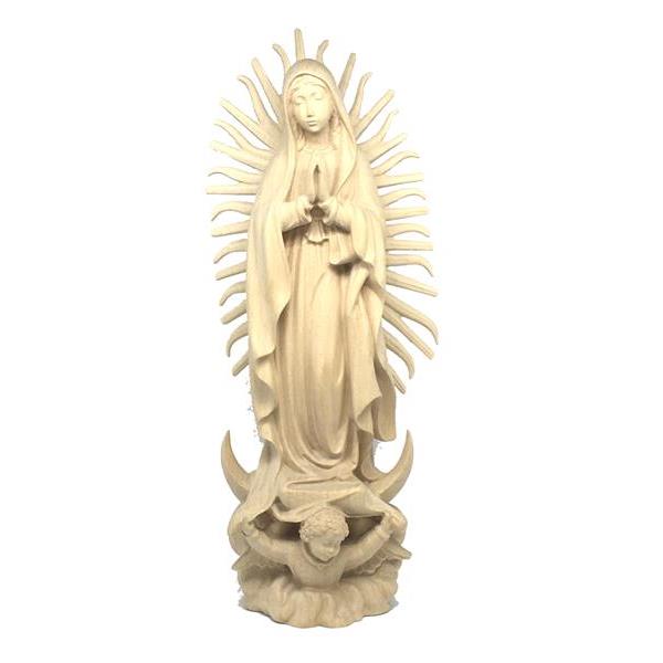 Madonna von Guadalupe - natur