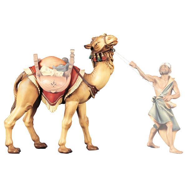 UL Kamel stehend - color