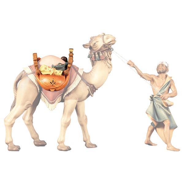 UL Sattel für Kamel stehend - color