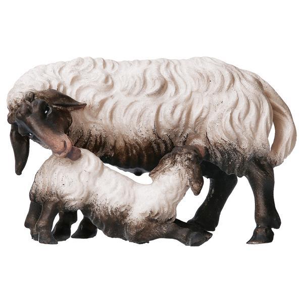 HI Schaf mit Lamm säugend Kopf schwarz - color