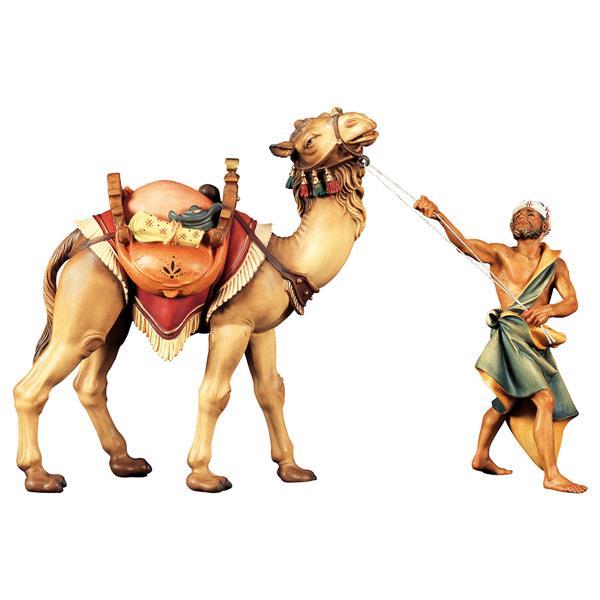 HI Kamelgruppe stehend - 3 Teile - color