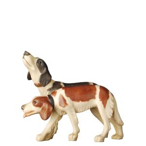 Gruppo cani