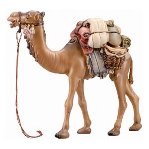 IN Kamel mit Gepäck