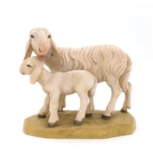 Pecora con agnello