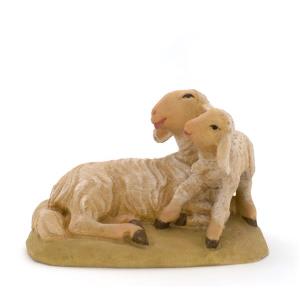 Pecora con agnello