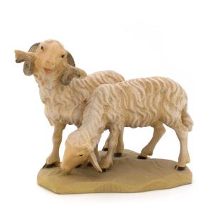 Ariete con pecora