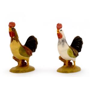 Gallo
