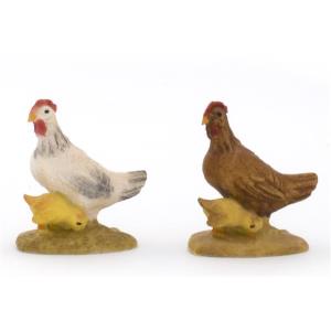 Gallina in piedi