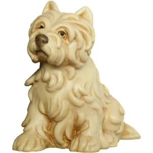 Terrier nuovo