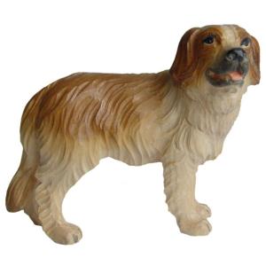 Cane S. Bernardo