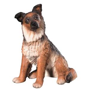 Cane