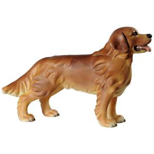 Retriever - cane