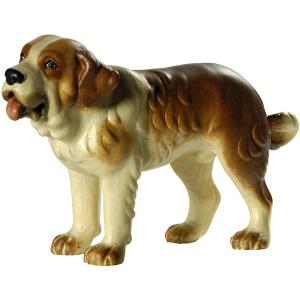 Cane di san Bernardo