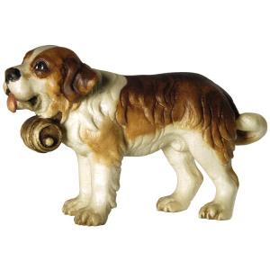 Cane S.Bernardo con botte