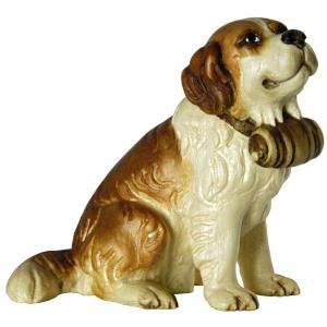 Cane S.Bernardo seduto con botte